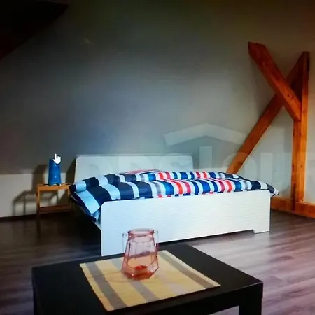 Prázdninový dům Dětřichov Nad Bystřicí Detrichov Nad Bystrici