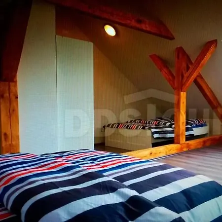 Prázdninový dům Dětřichov Nad Bystřicí *